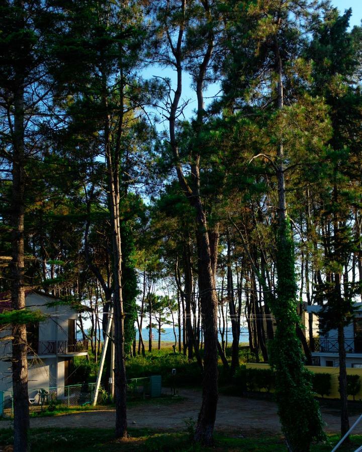 Restcoast Villa Shekhvetili Luaran gambar